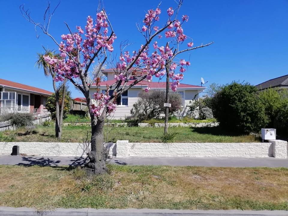 Homestay Family Room, Near The City Center Christchurch Exteriér fotografie